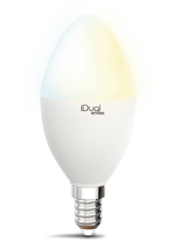 Ampoule E14 led iDual Blanc Plastique 652980