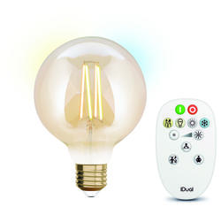 Kit d'ampoule E27 à filament + télécommande iDual Verre 652991