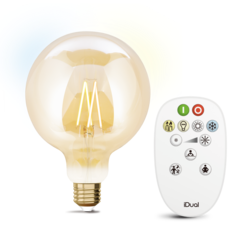 Kit d'ampoule E27 à filament + télécommande iDual Verre 652995
