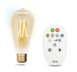 Kit d'ampoule E27 à filament + télécommande iDual Verre 652999