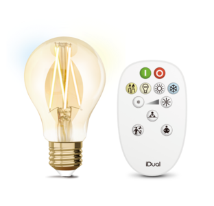 Kit d'ampoule E27 à filament + télécommande iDual Verre 652987