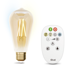 Kit d'ampoule E27 à filament + télécommande iDual Verre 652999