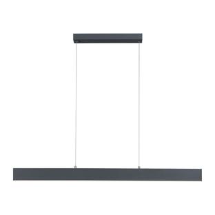 Suspension 2 lampes led Leuchten Direkt Nila Gris anthracite Métal 11548-13