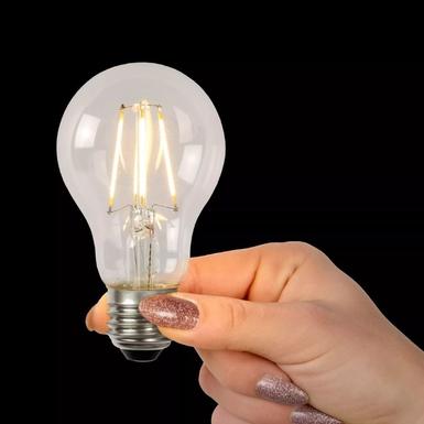 Ampoule opale E27 LED - Lucide A60- 49020/05/60