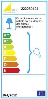 Applique extérieure contemporaine Trio Hoosic Rouille Aluminium 222260124