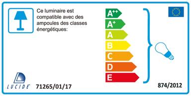 Applique industrielle Lucide Vitri Cuivre Métal 71265/01/17