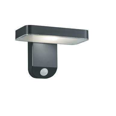 Applique extérieure led Trio Esquel Gris anthracite R22261142