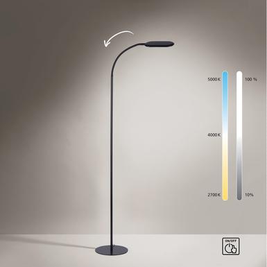 Lampadaire led Leuchten Direkt Kelly Noir Métal 14406-18