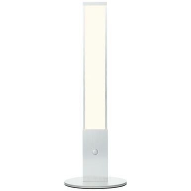 Lampe led Brilliant Entrance Gris Plastique G97024/21