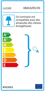 Suspension Industrielle Arthur - 5xE27 - Noir/Métal - Lucide - 08424/05/30