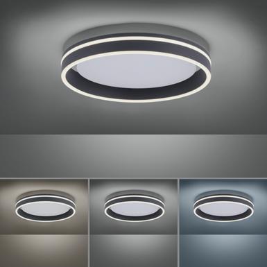 Plafonnier led Neuhaus Q-Vito Gris anthracite Aluminium 8414-13