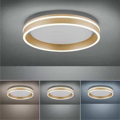 Plafonnier led Neuhaus Q-Vito Laiton Fer 8414-60