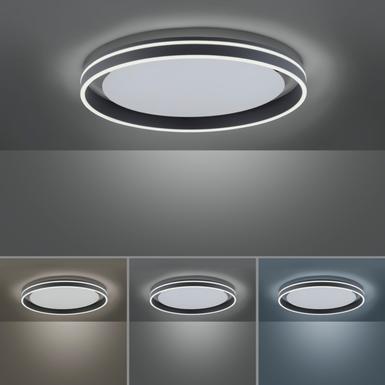 Plafonnier led Neuhaus Q-Vito Gris anthracite Aluminium 8416-13