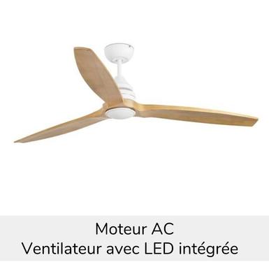 Ventilateur de plafond Alo Ø 152 cm avec LED - Marron clair - Noyer - Faro - 33727