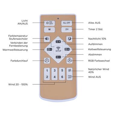 Ventilateur led Leuchten Direkt Dion Gris Métal 14648-21