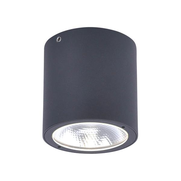 Plafonnier extérieur led connecté Neuhaus Q-Lenny Gris anthracite