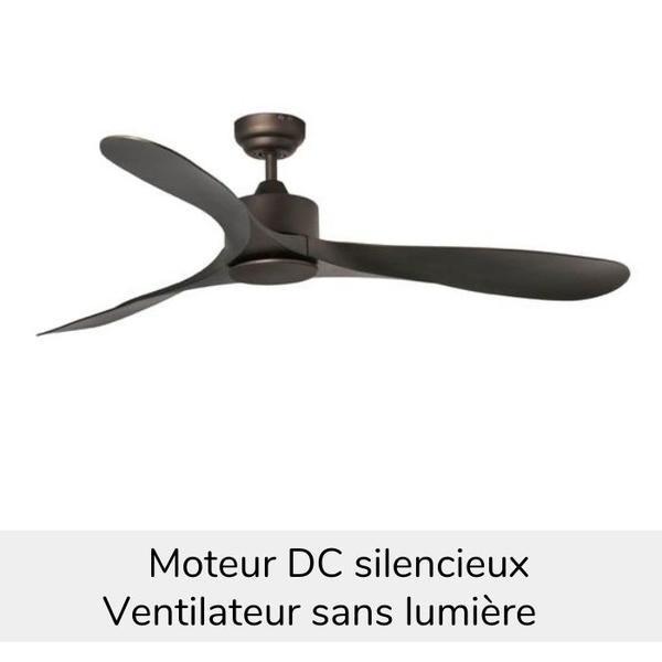 Ventilateur plafond noir et bois moteur silencieux